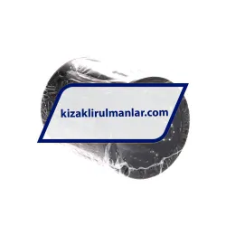 SKF LBBR40-2LS rulman resim 2
