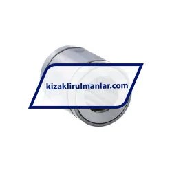 Thomson A101824 rulman resim 2