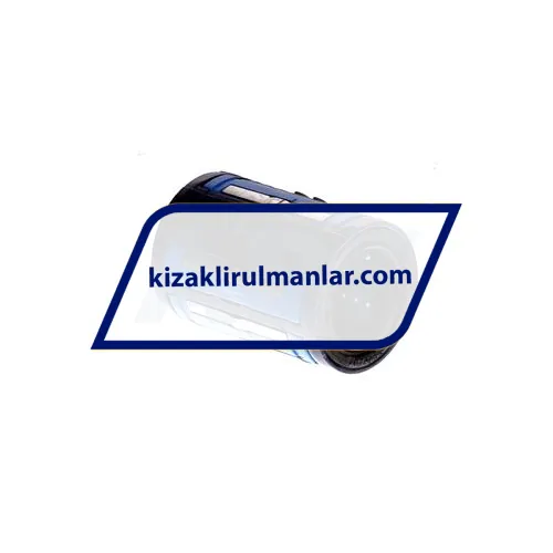 SKF LBCD16A-2LS ürün fotoğrafı 2