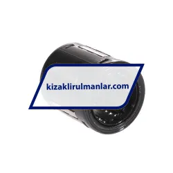 SKF LBBR20-2LS