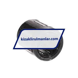 SKF LBBR20-2LS rulman resim 2