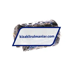 SKF LBCT20A-2LS rulman resim 2