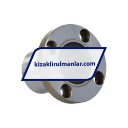 Nippon Bearings SMF20GUU rulman resim 2