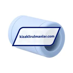 Neutral LPAR30 rulman resim 2