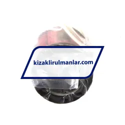 Neutral EXC20-PP-RB rulman resim 2