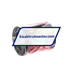 Neutral EXC25-PP-RB rulman resim 2