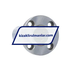 Neutral SLHFRWS12 rulman resim 2