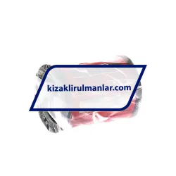 Neutral EXC30-PP rulman resim 2