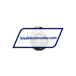 INA KH1026-PP rulman resim 2