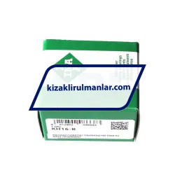 INA KH16-B rulman resim 2