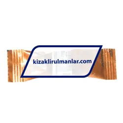 INA KBO12PP rulman resim 4