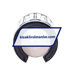 SKF LBHT50A-2LS rulman resim 2