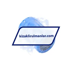 SKF LBCR12D-2LS rulman resim 2