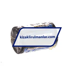 SKF LBCR25A rulman resim 2