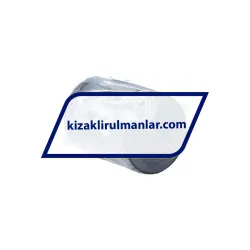 Ewellix LBBR16-2LS rulman resim 2