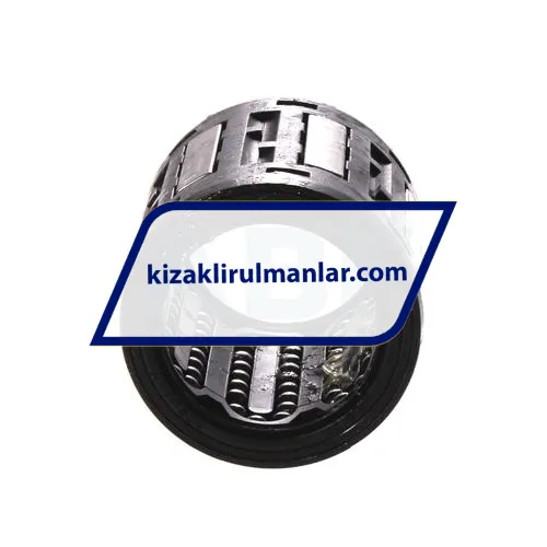 SKF LBBR25-2LS ürün fotoğrafı 3