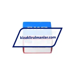 SKF LBBR25-2LS rulman resim 4