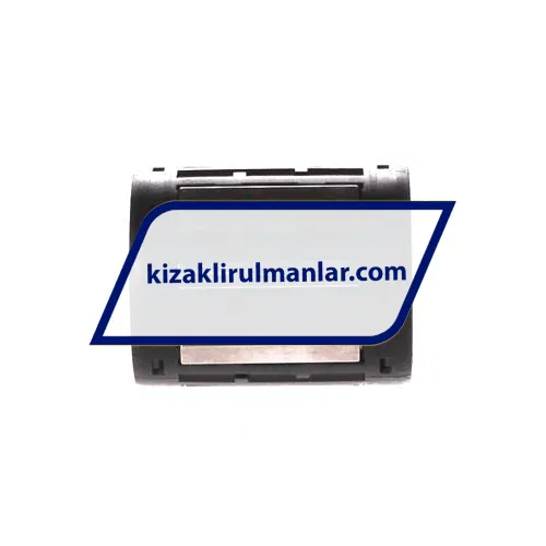 SKF LBBR30-2LS ürün fotoğrafı 2