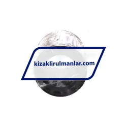 SKF LBCR25A-2LS rulman resim 3