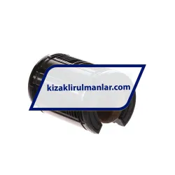 SKF LBCT25A-2LS