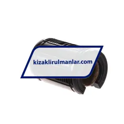 SKF LBCT25A-2LS rulman resim 2
