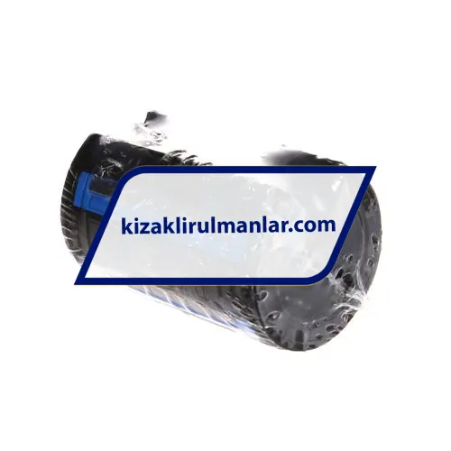 SKF LBCT30A-2LS