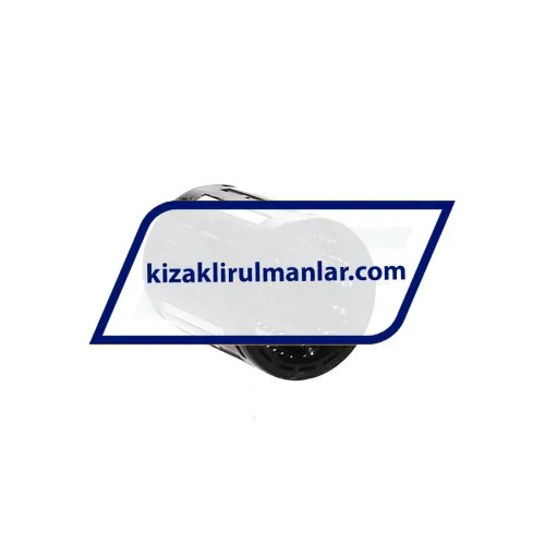 SKF LBBR40 ürün fotoğrafı 2