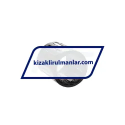 SKF LBBR40