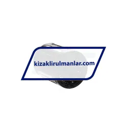 SKF LBBR40 rulman resim 2