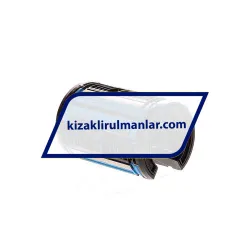 SKF LBCT25A-LS