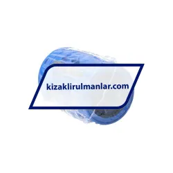 SKF LBCD20-2LS
