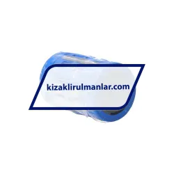 SKF LBCD20-2LS rulman resim 2