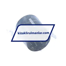 SKF LBBR20-2LS/HV6 rulman resim 2