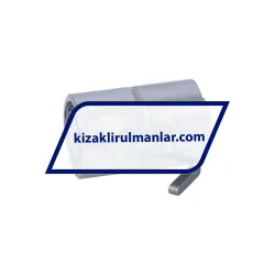 Nippon Bearings SSP-13A rulman resim 2