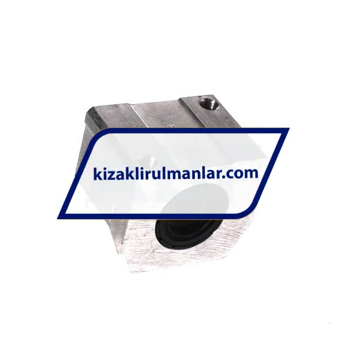 INA KGSNG20-PP-AS