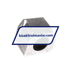 INA KGSNG20-PP-AS rulman resim 2