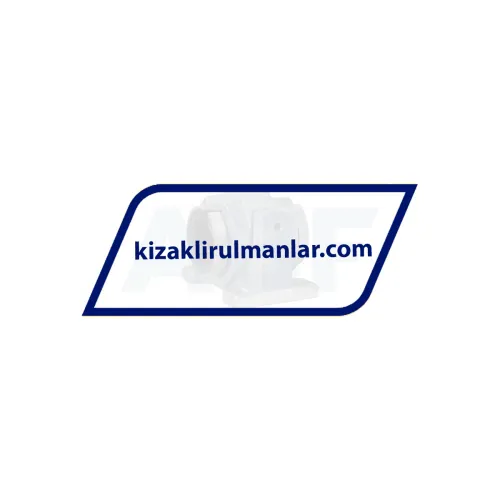 INA KGBAO30-PP-AS ürün fotoğrafı 2