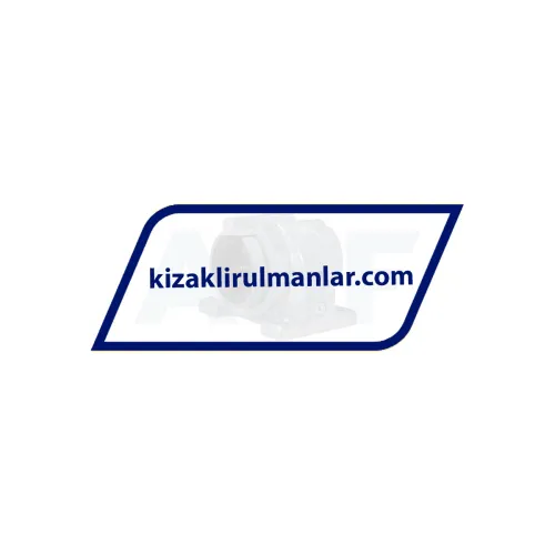INA KGBAO30-PP-AS ürün fotoğrafı 3