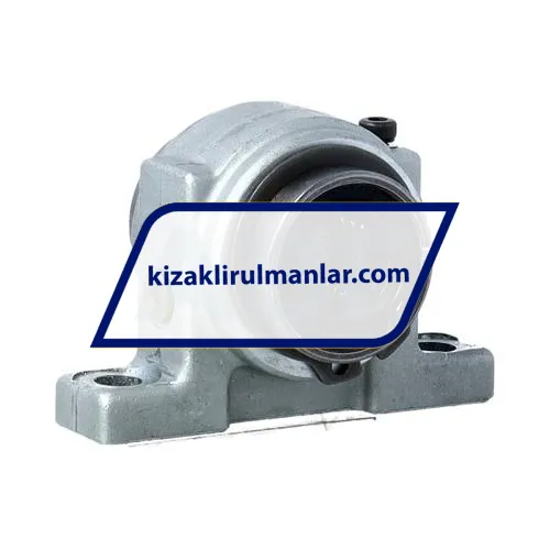 INA KGBS12-PP-AS ürün fotoğrafı 3