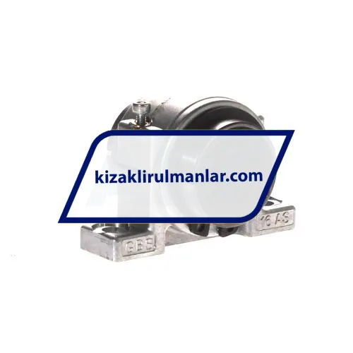 INA KGBS16-PP-AS