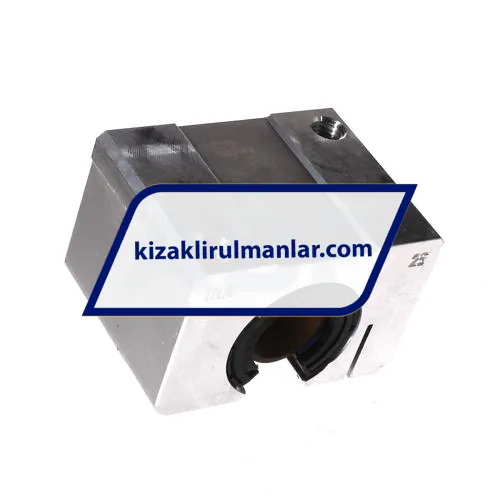 INA KGSNOS25-PP-AS