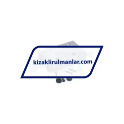 INA LFKL-MLF32-ZR-4400 rulman resim 2
