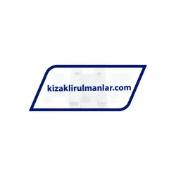 INA LFKL-MLF32-ZR-4400 rulman resim 3