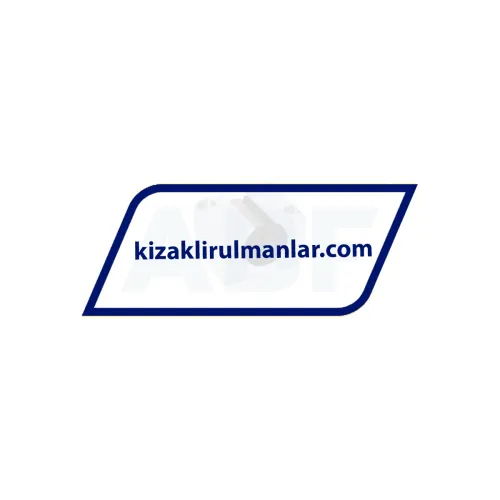 INA KGSNO25-PP-AS ürün fotoğrafı 2