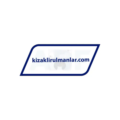INA KGSNO25-PP-AS ürün fotoğrafı 3