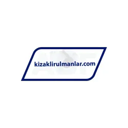 INA KGSNO25-PP-AS rulman resim 2