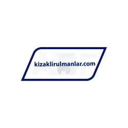 INA KGSNO25-PP-AS rulman resim 3