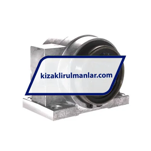 INA KGBA50-PP-AS