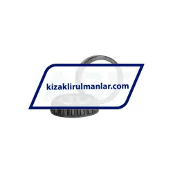 INA LFKL52-EE-SF-RB rulman resim 2