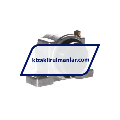 INA KGBS20-PP-AS ürün fotoğrafı 2